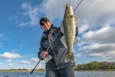 The Largest Walleye Ever Caught in the US, Plus Some of the Biggest State Records