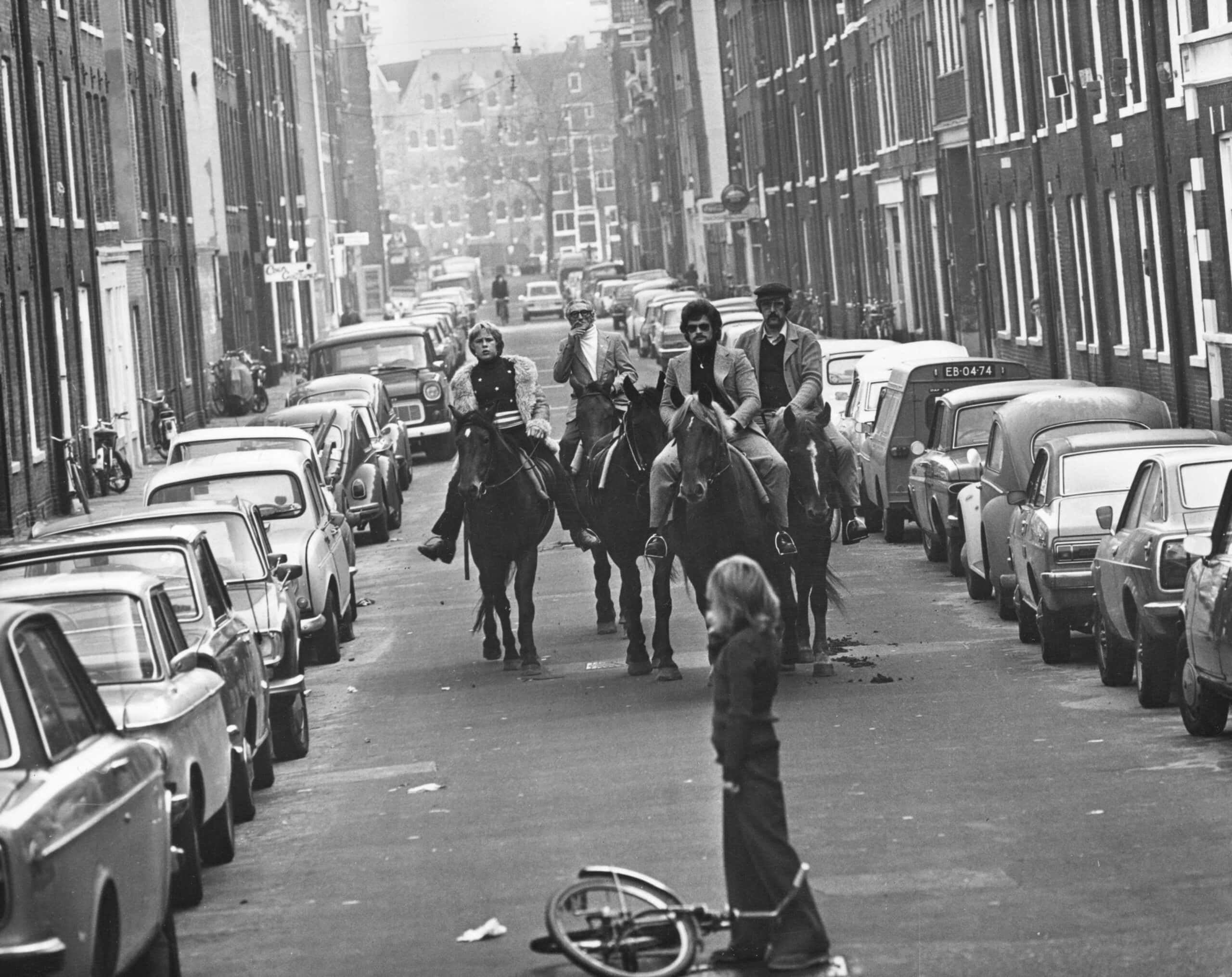 Amsterdam Horses