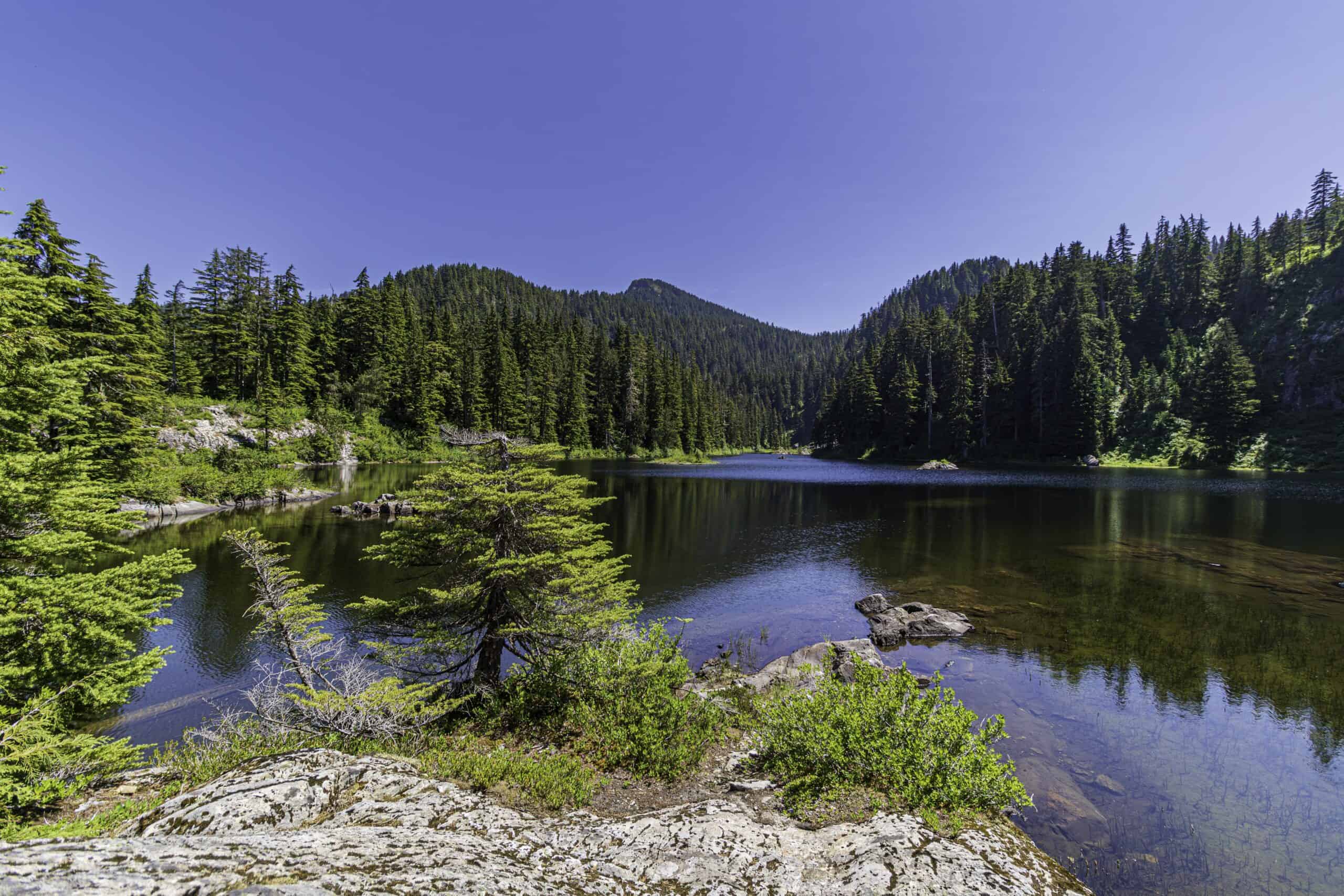 Lake Stickney, Washington | Lake Stickney