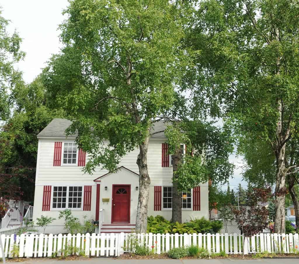 Red and White saltbox style house, white picket fence, birch trees, spruce trunk, 'I' street, downtown, Anchorage, Alaska, USA by Wonderlane