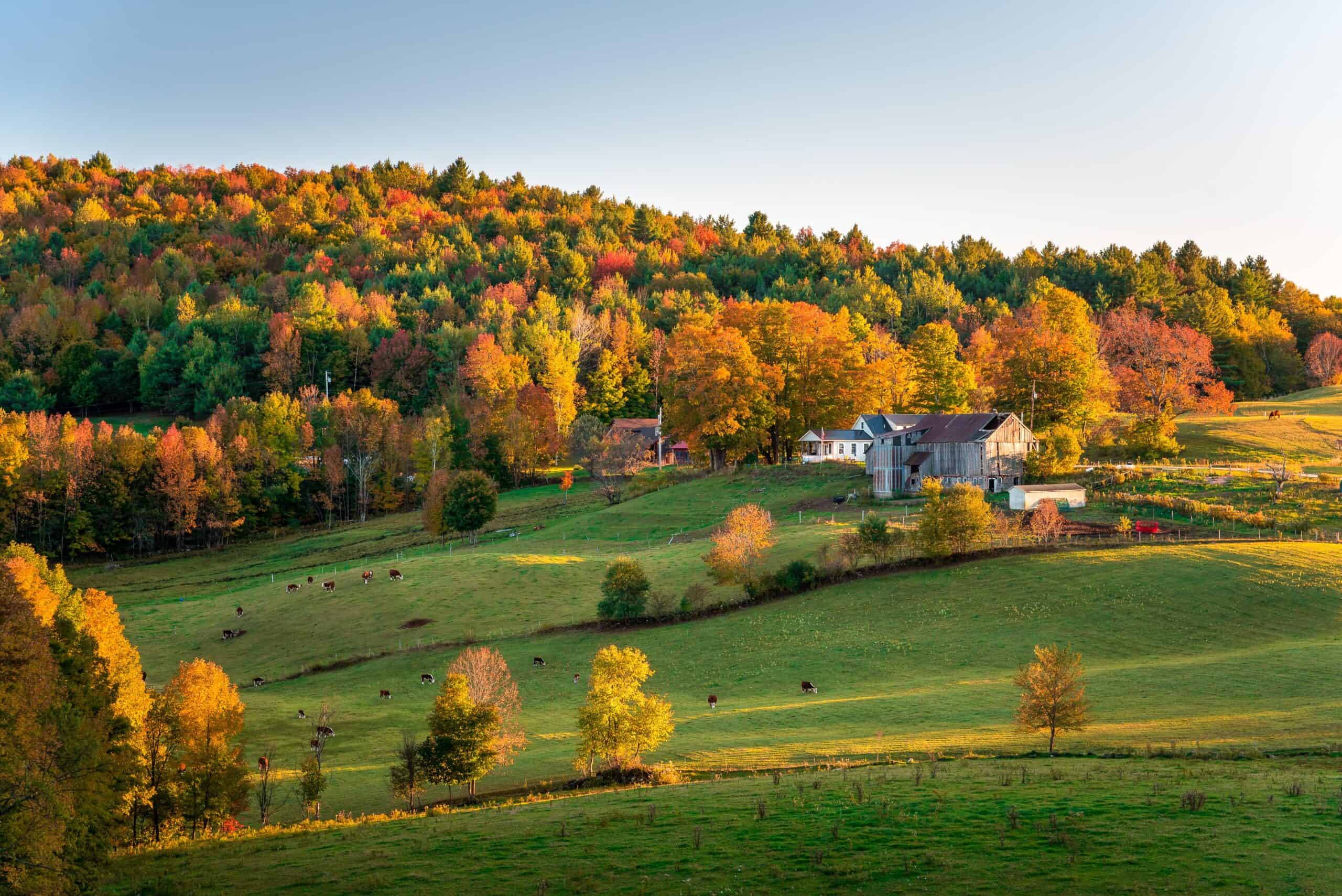 residential Vermont | Rolling rural landscape at sunset. Stunning autumn colours.