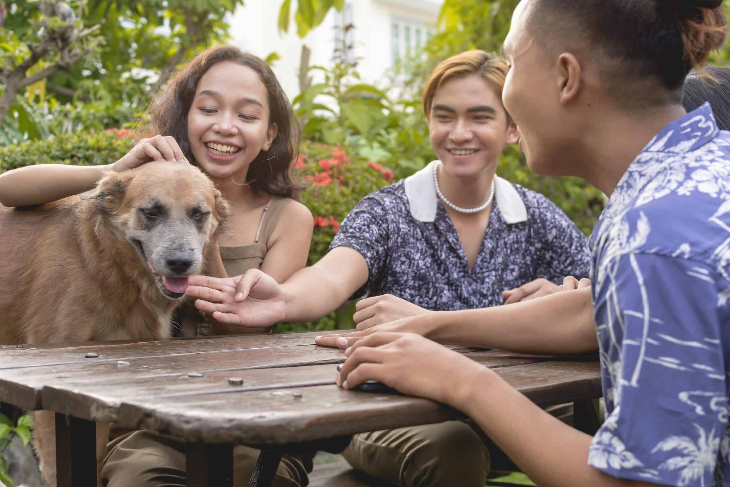 GenZers | A group of happy Gen Z friends hang out outside, sitting on a rustic bench and having fun with a friendly dog.
