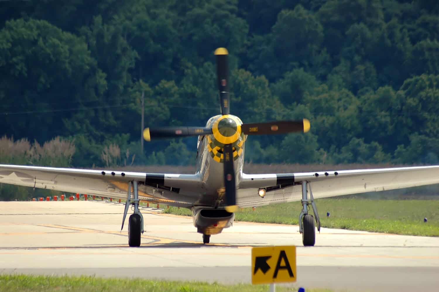 P-51 Vintage airplane taxiing