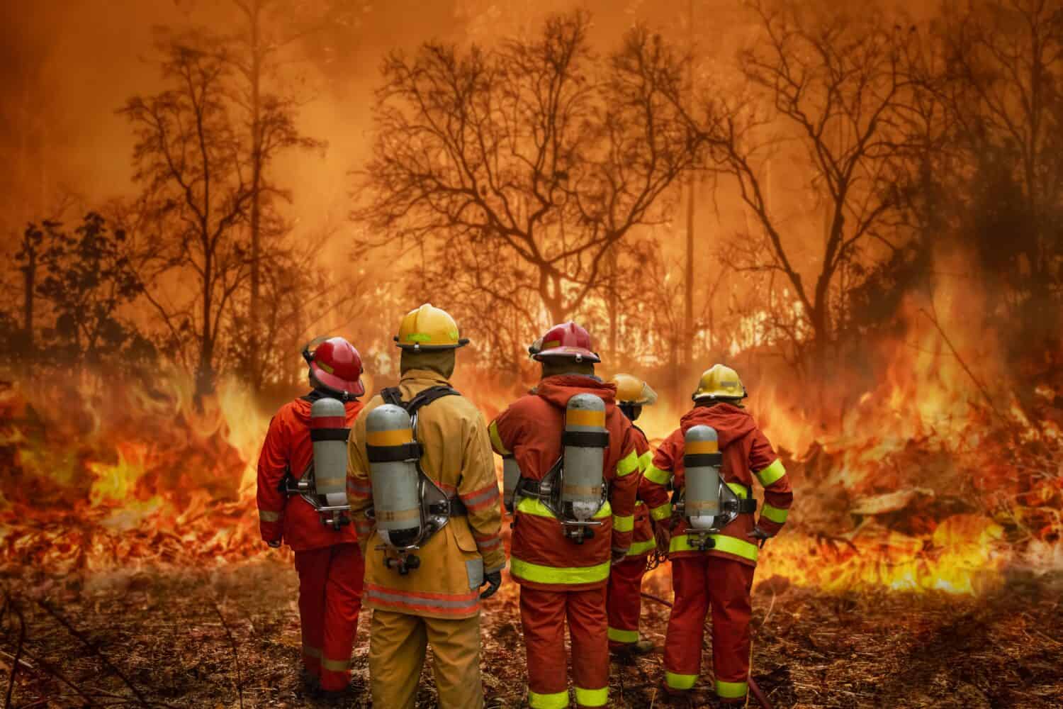 Firefighters team battle a wildfire because climate change and global warming is a driver of global wildfire trends.