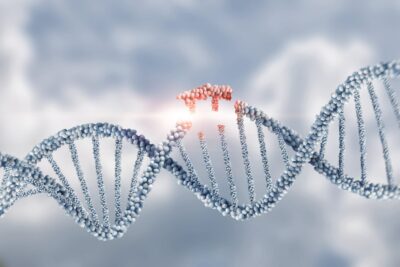 TWST vs. NTRA: Which Genomics Play Is a Better Buy?