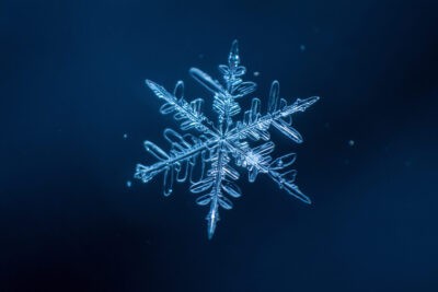Is Snowflake the Next Big AI Stock?
