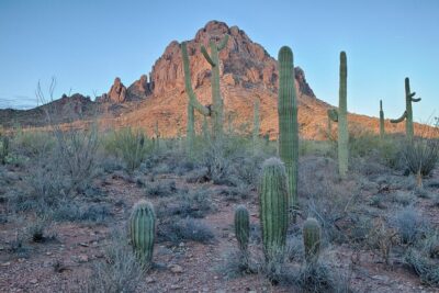 Why Does the U.S. Government Own Millions of Acres of Land?