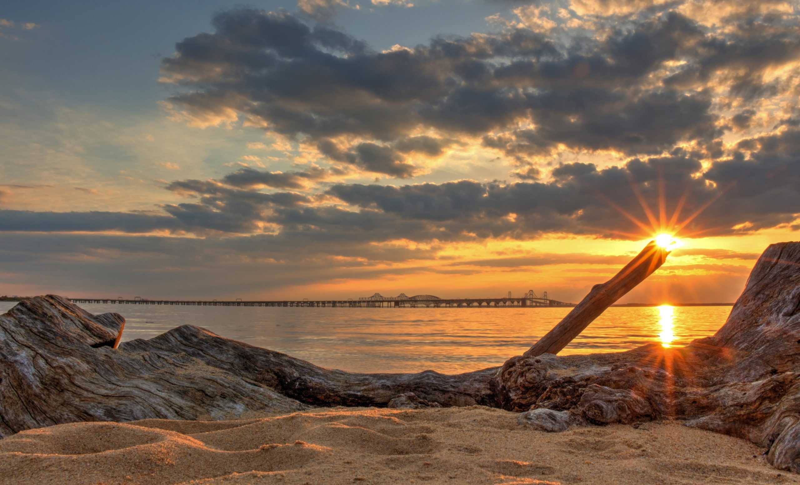 Stevensville, Maryland | Chesapeake Bay Driftwood Sunset