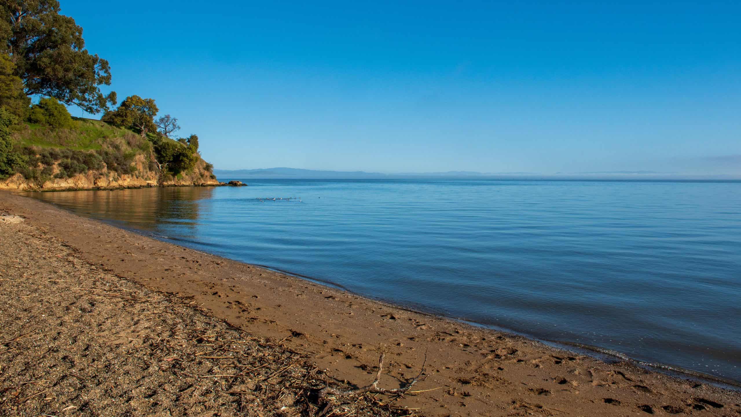 San Pablo, California | Beach at San Pablo Bay by China Camp