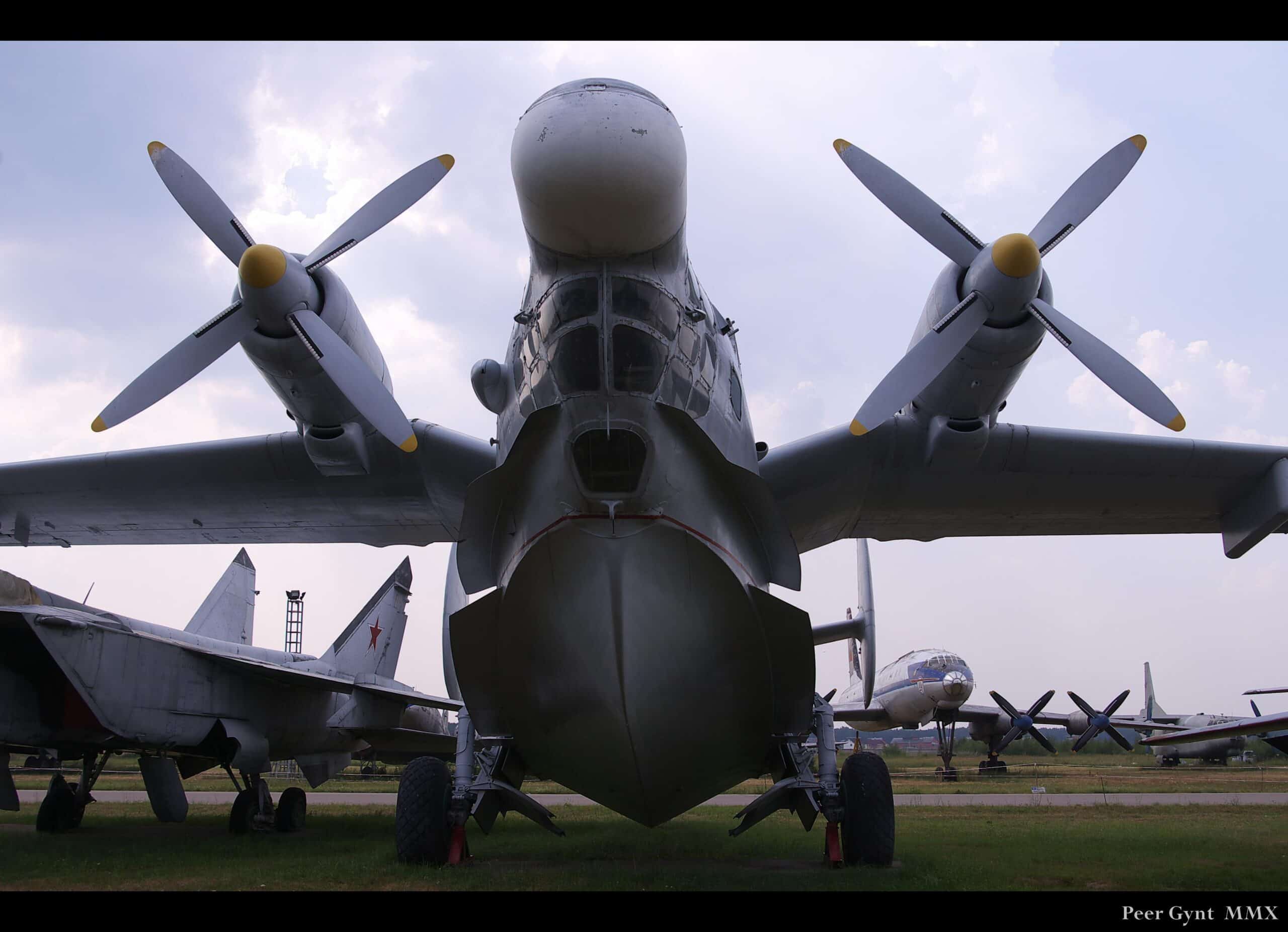 Beriev Be-12 by Andrey Korchagin