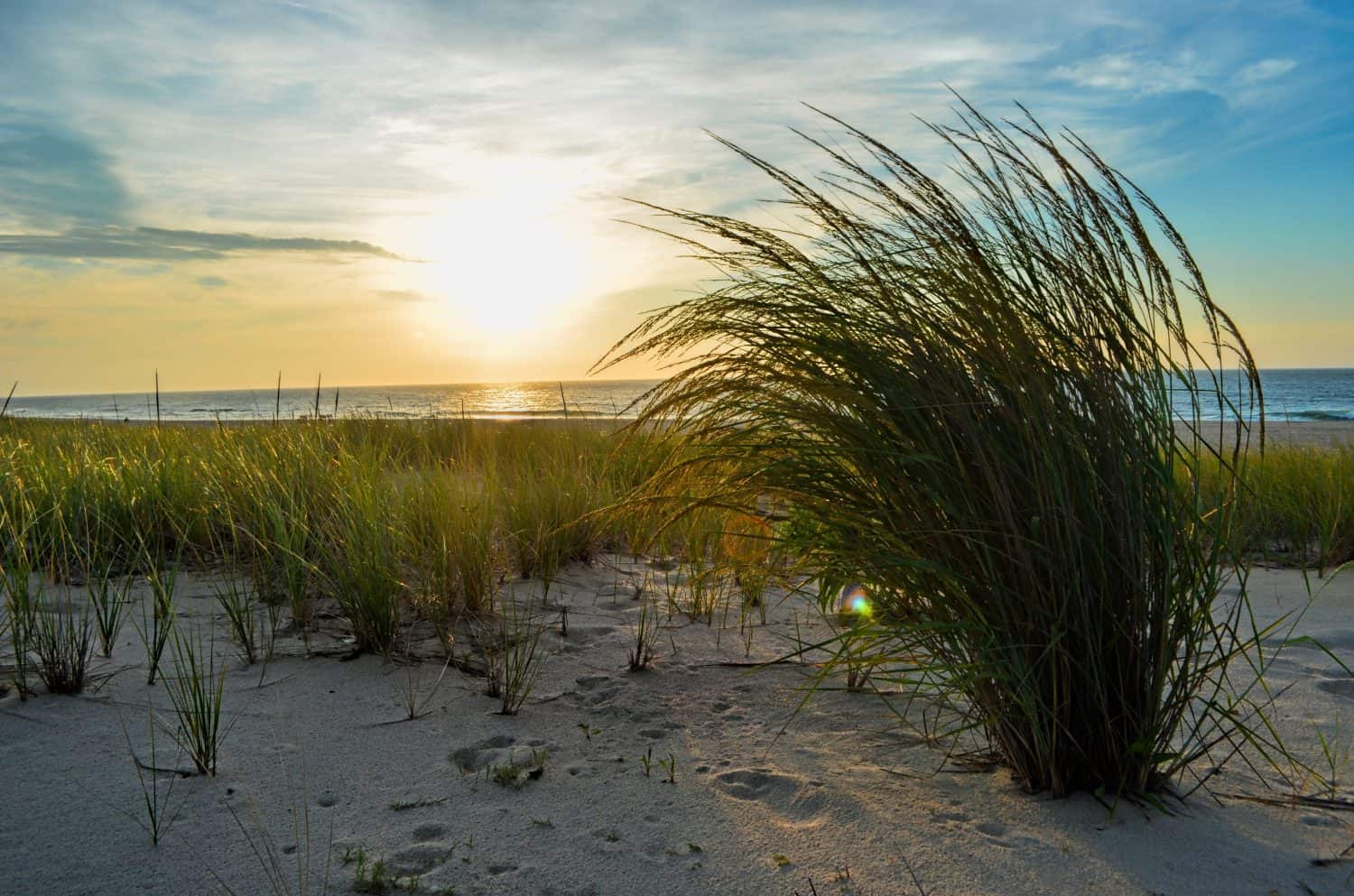 Sunrise at Ship Bottom Beach, Long Beach Island, New Jersey