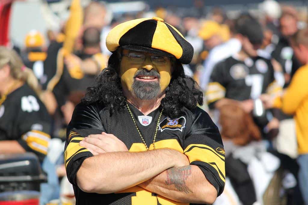 Steeler Polamalu Fan by daveynin