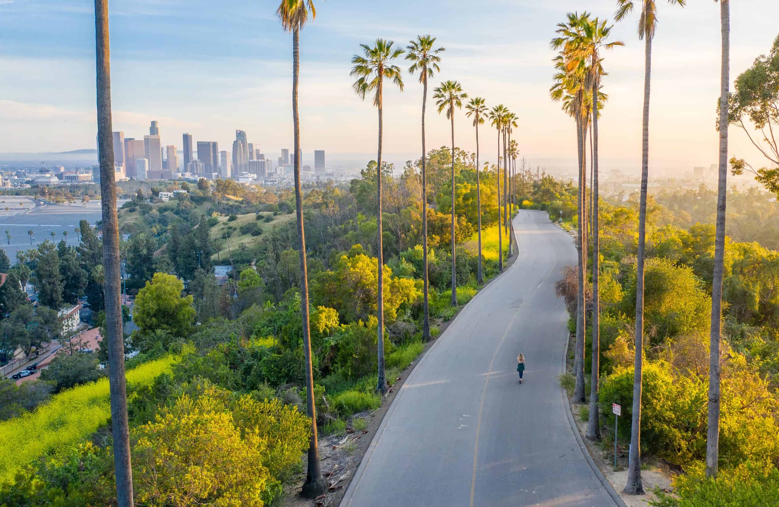 Los Angeles, California | Young Woman Walking Down Palm Trees Street Revealing Downtown Los Angeles