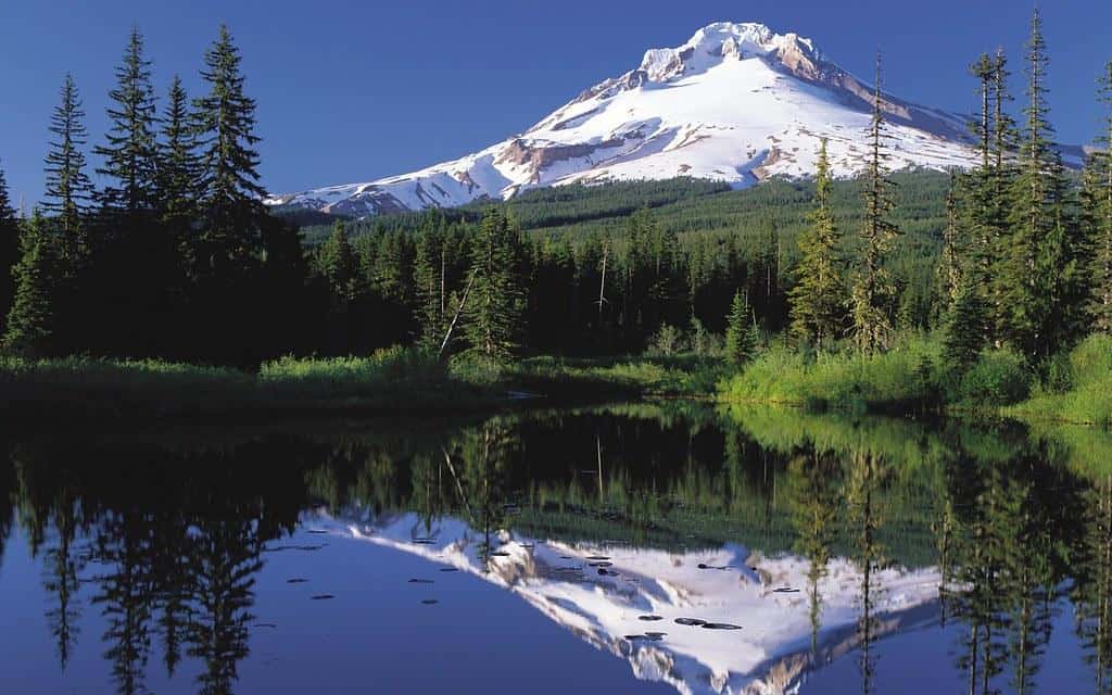 Nature - Mt Hood, Oregon by Trodel