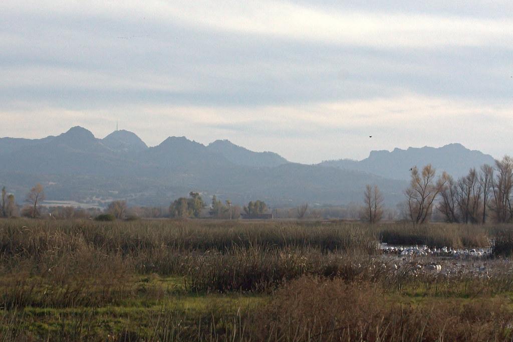 SUTTER BUTTES YUBA COUNTY CALIFORNIA by Elery S.Oxford