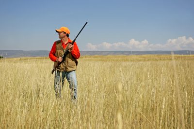Which Cartridges Are Best for Big Game Hunting?