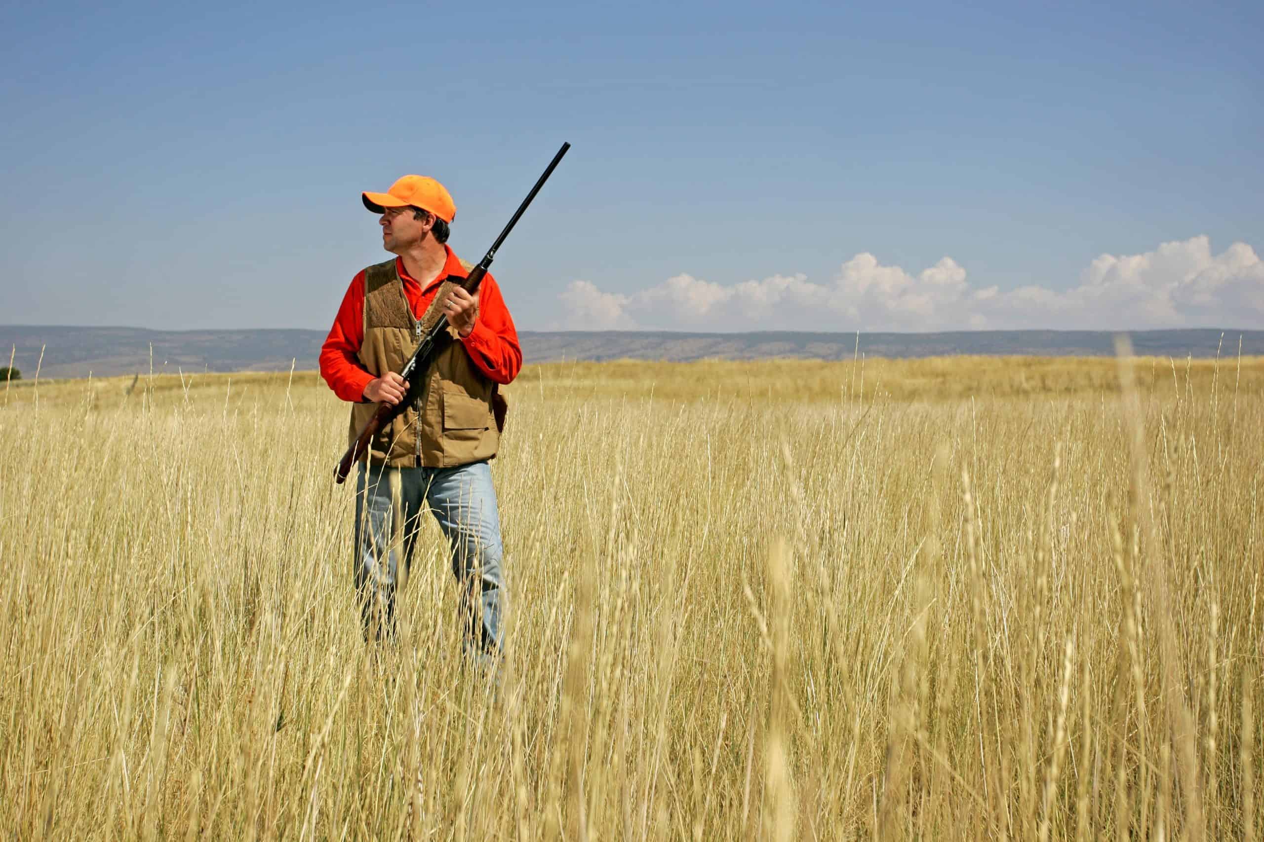 gun Idaho | Bird Hunting Series