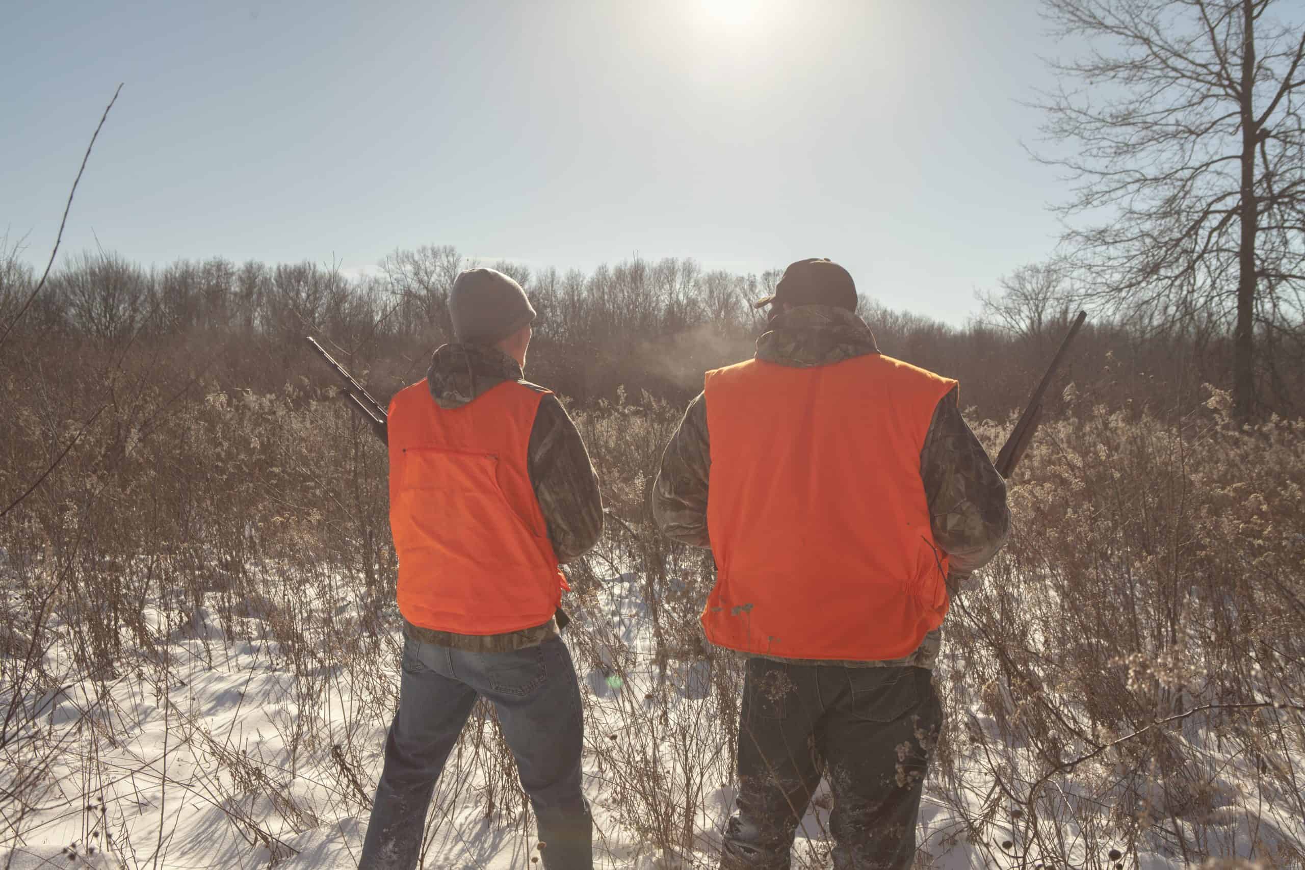 gun Michigan | Mid adult man and teenage son hunting in Petersburg State Game Area, Michigan, USA