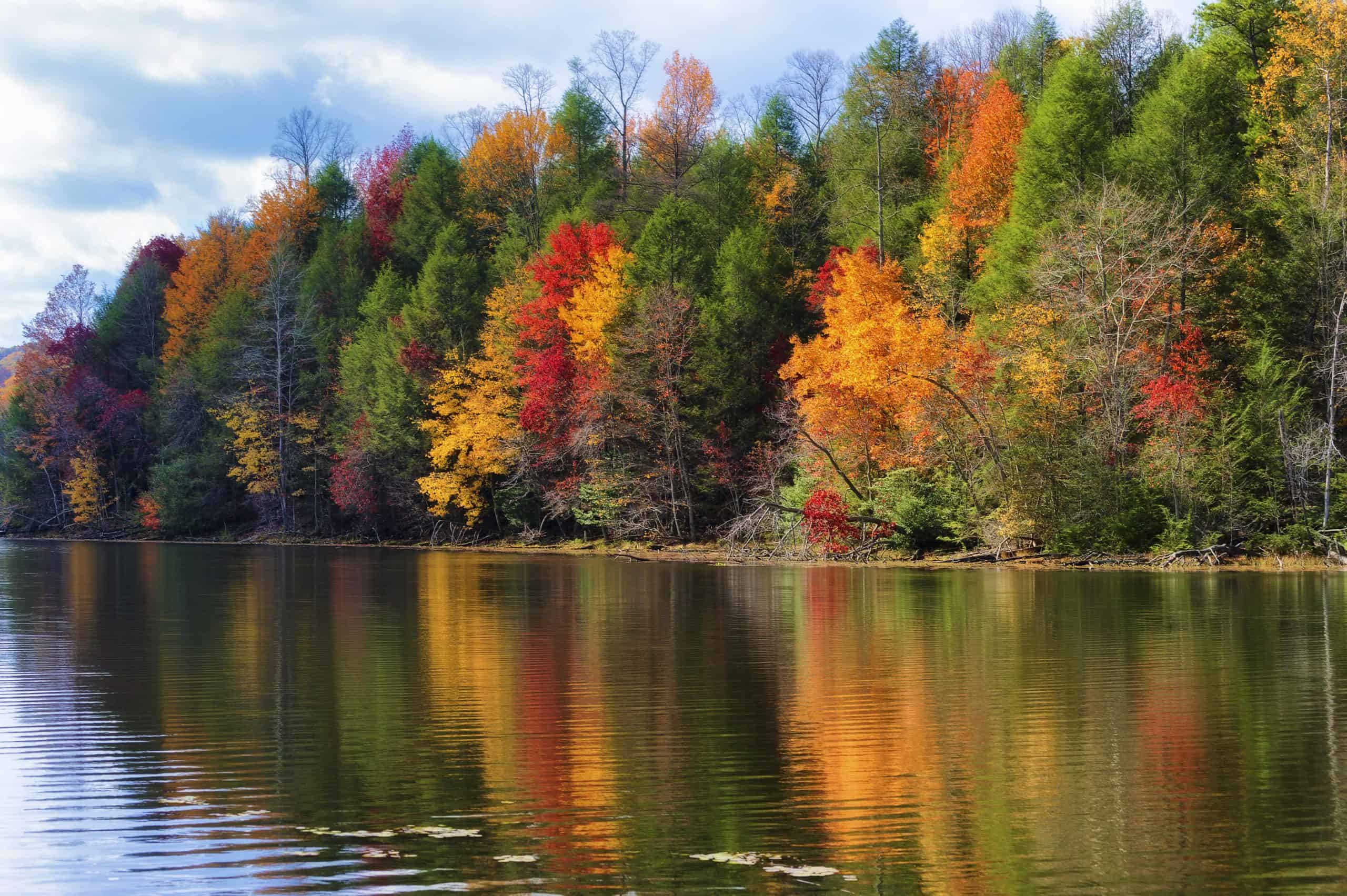 Tennessee body of water | Autumn Colors Along the Shore of Bays Mountain Lake