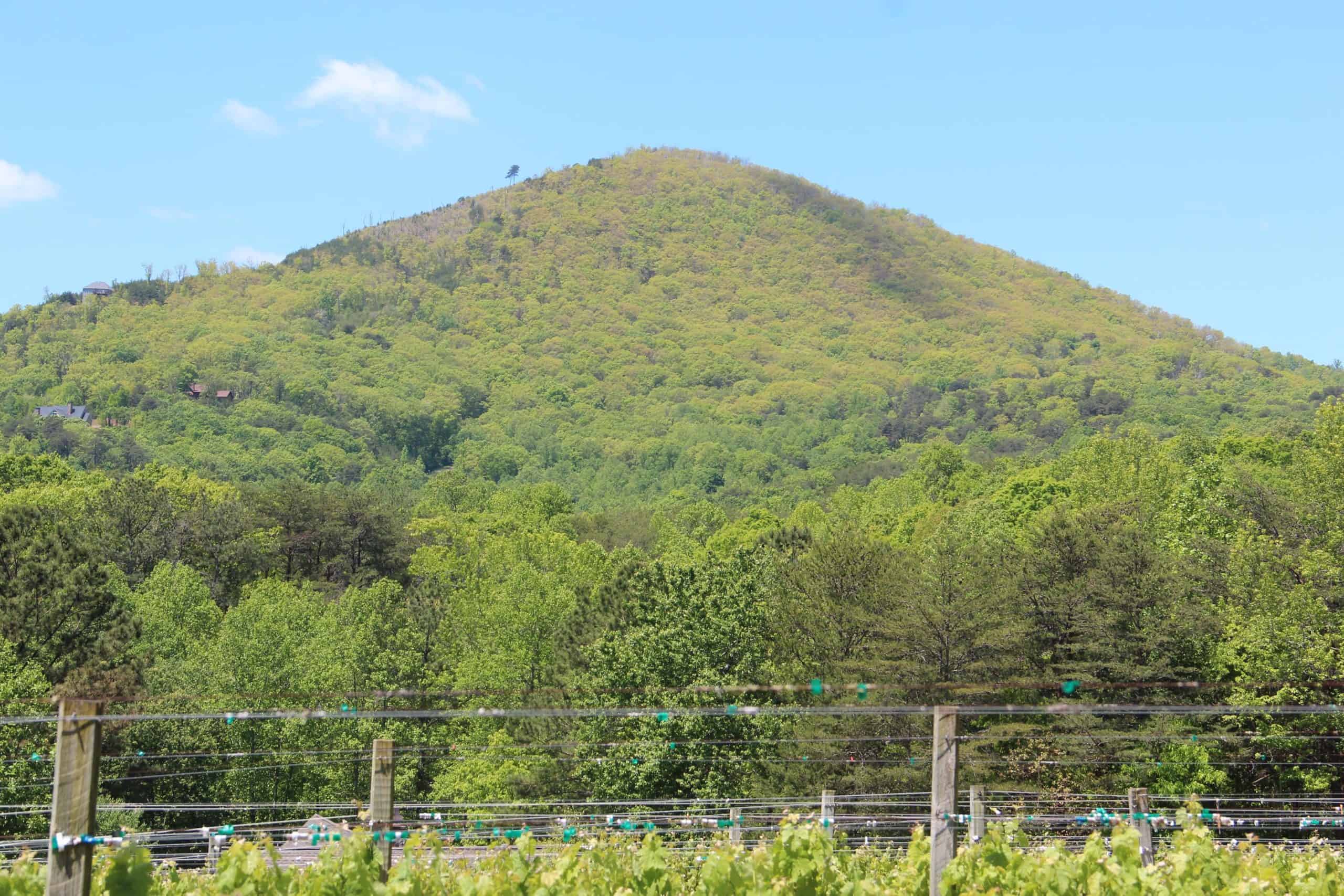 Pickens+County+Georgia | Sharp Mountain, Pickens County, Georgia