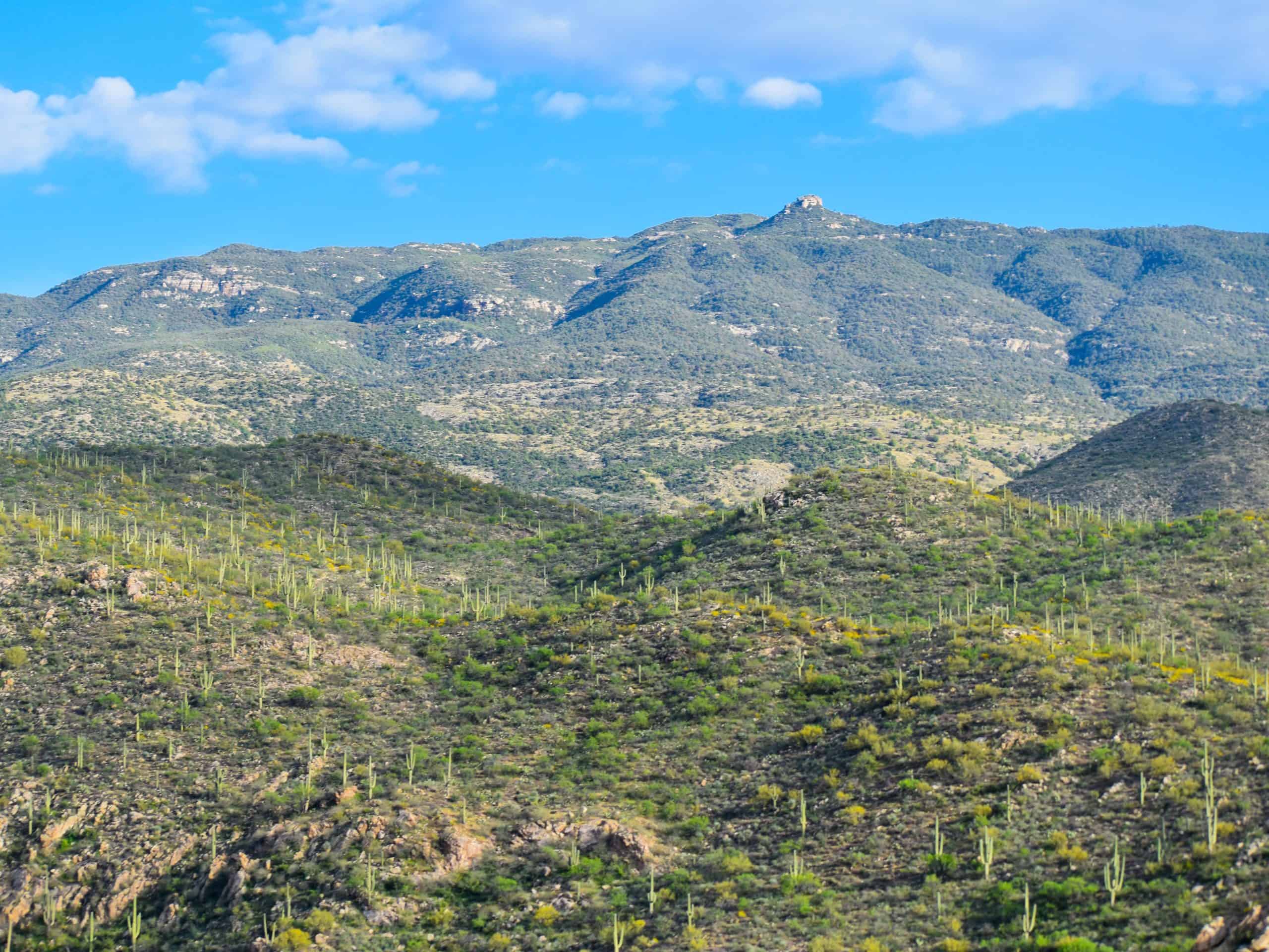 Tanque Verde, Arizona | Cactus Valley - Tanque Verde AZ