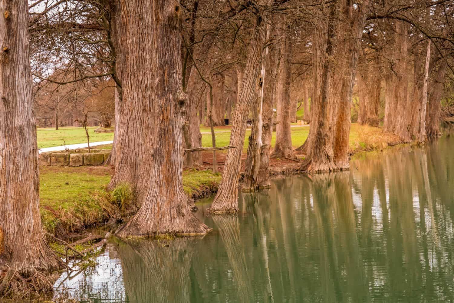 Beautiful River in Kerrville Texas