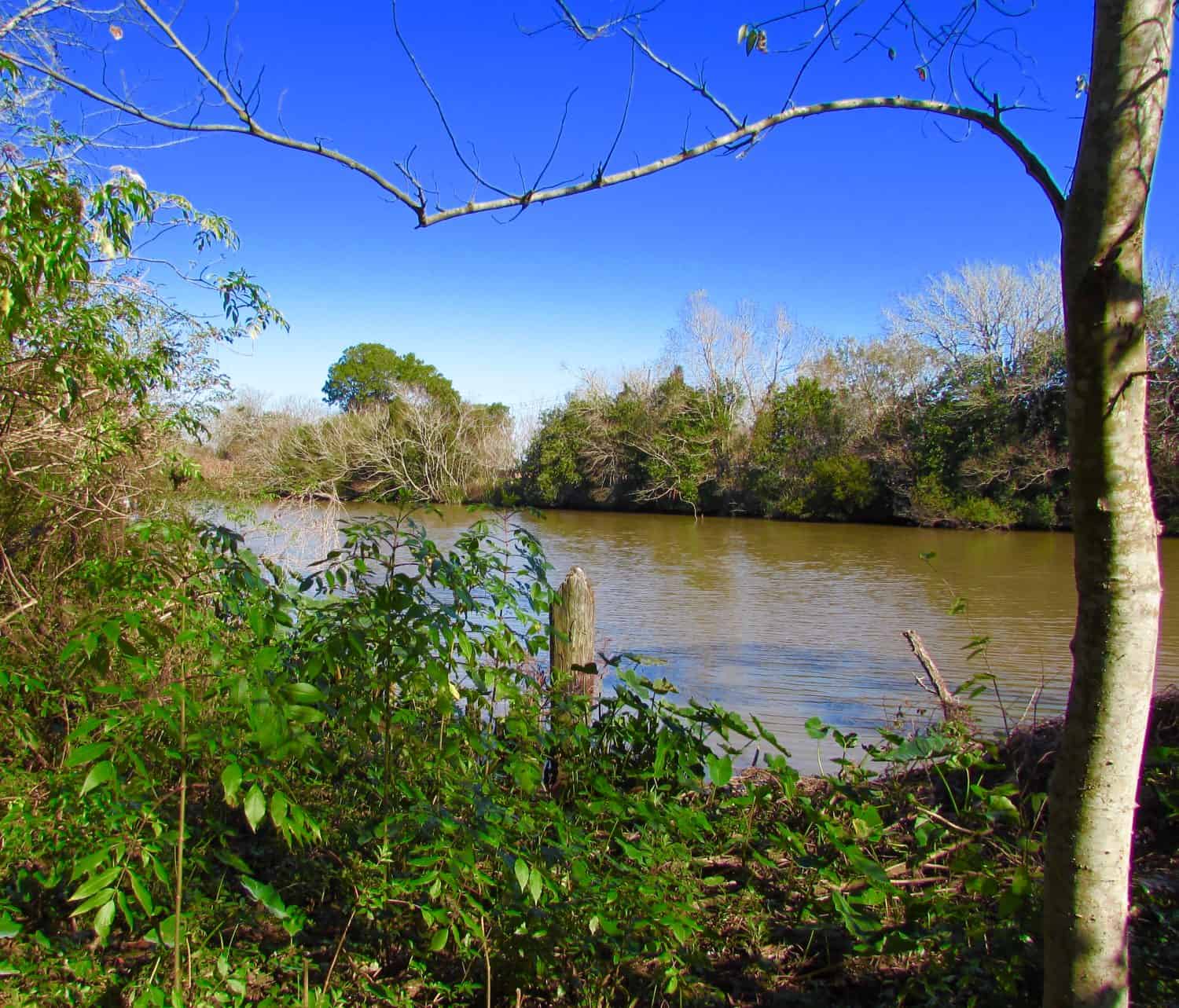 Bayou Lafourche as it runs through Cut Off, Louisiana.