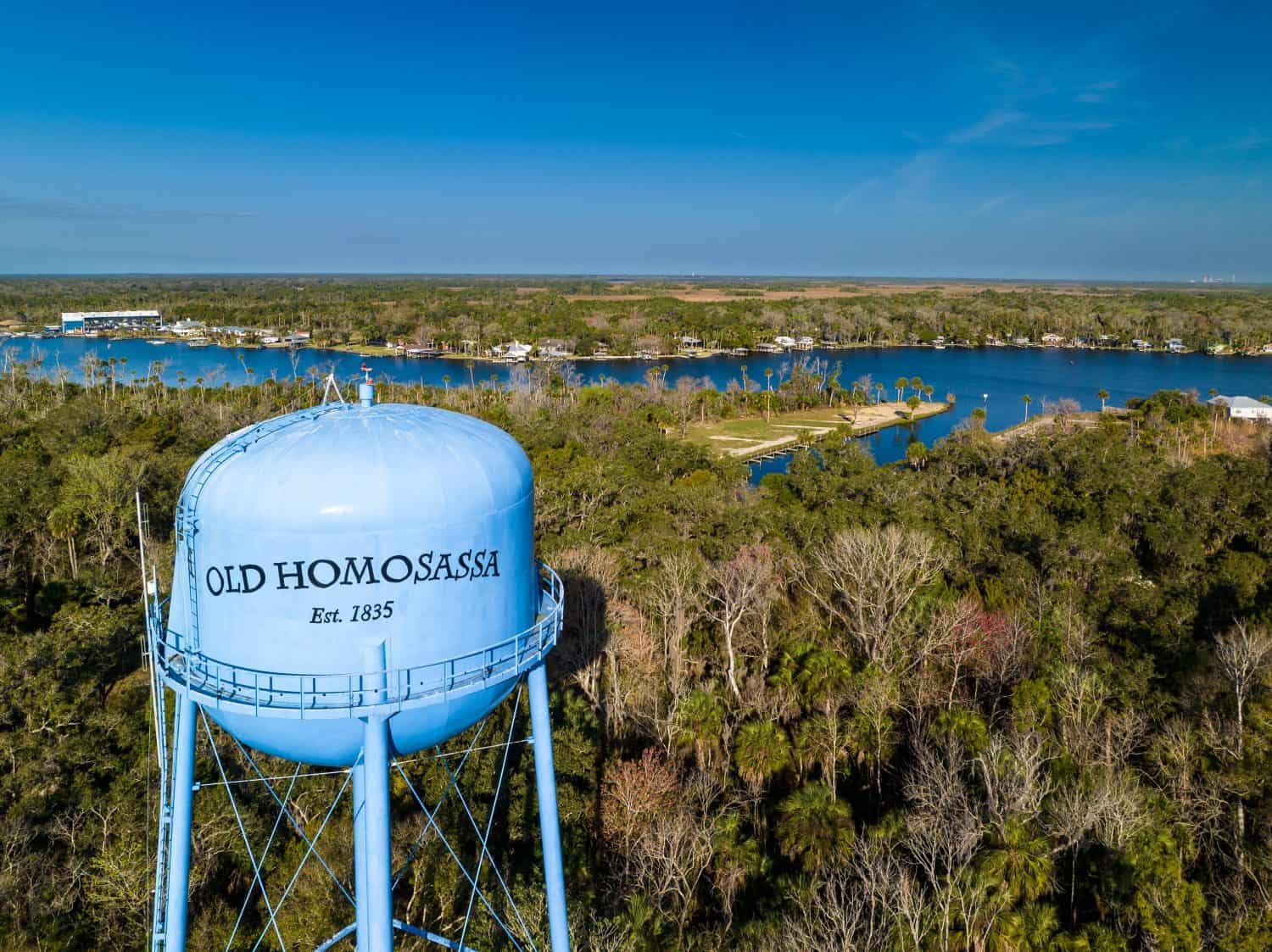 Homosassa Springs Florida. Homosassa Springs is an unincorporated community and census-designated place in Citrus County, Florida, United States. The population was 13,791 at the 2010 census.