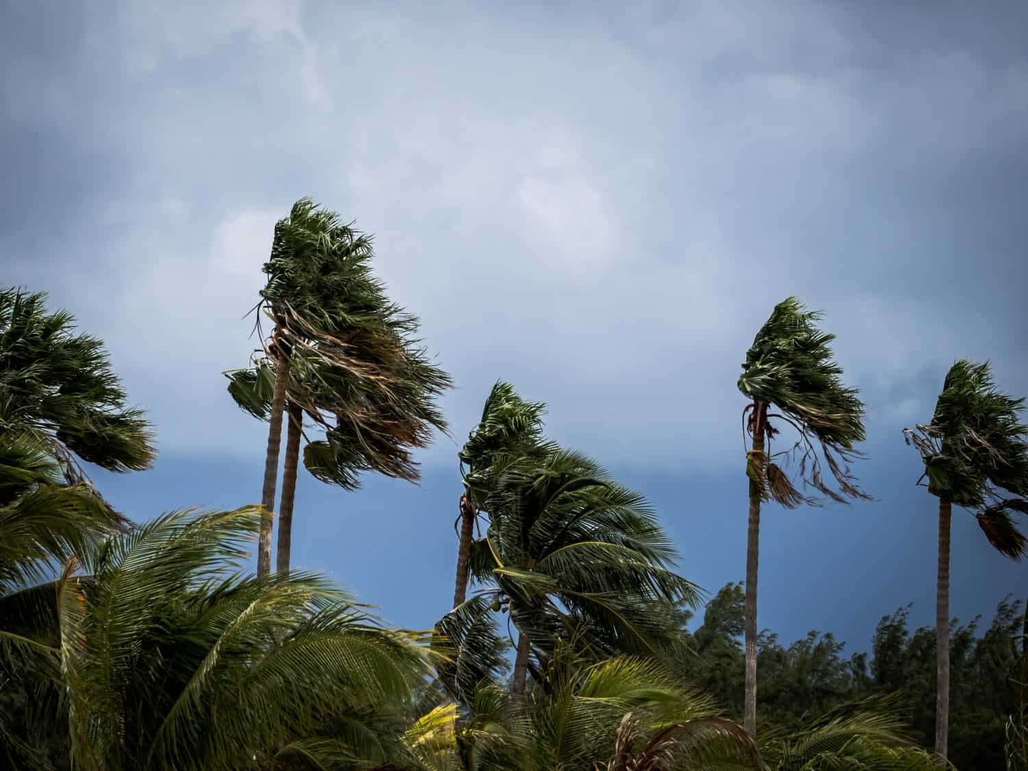 During hurricane season in South Florida, strong winds and threatening clouds can conclude a beautiful day at the beach