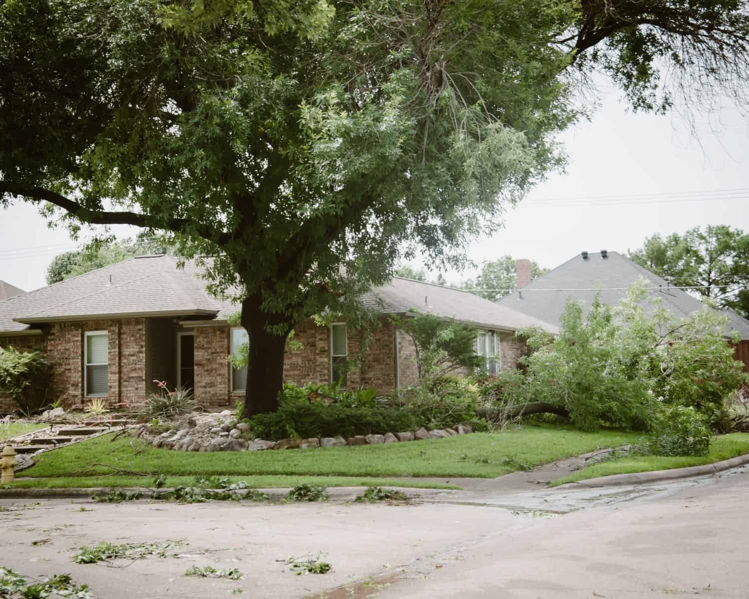 Corner house front yard curbside landscaping damaged by large branch fallen off from tall tree by strong wind heavy storm in Dallas, Texas, home insurance claim concept, severe weather, tornado. USA