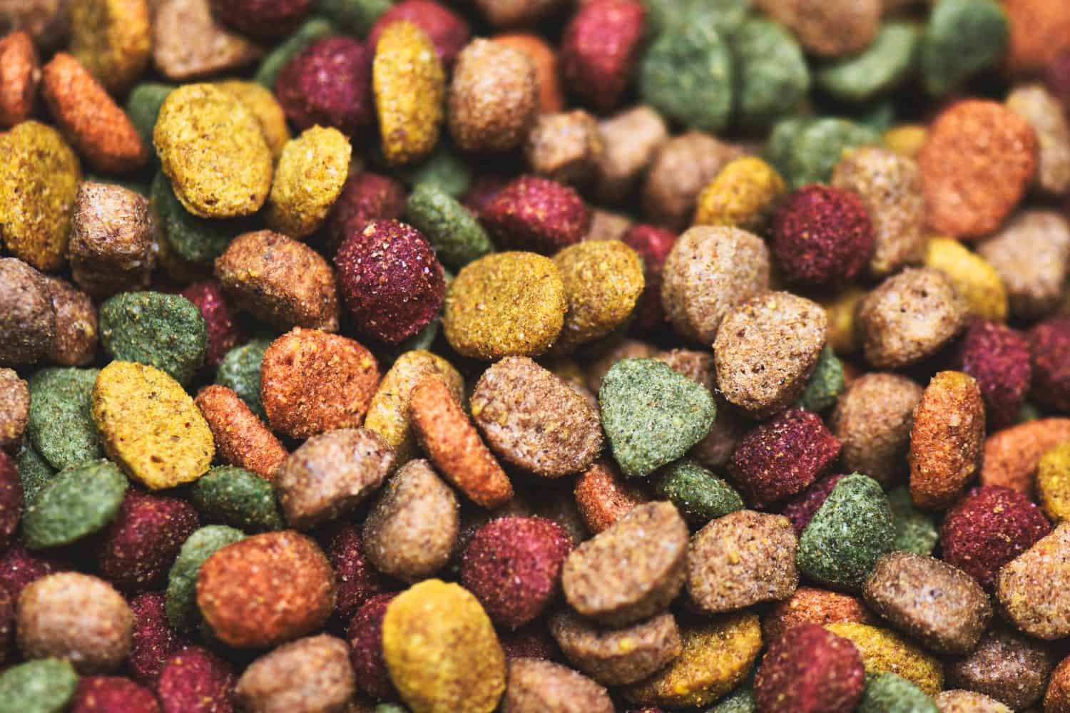 Some multi coloured dog kibble