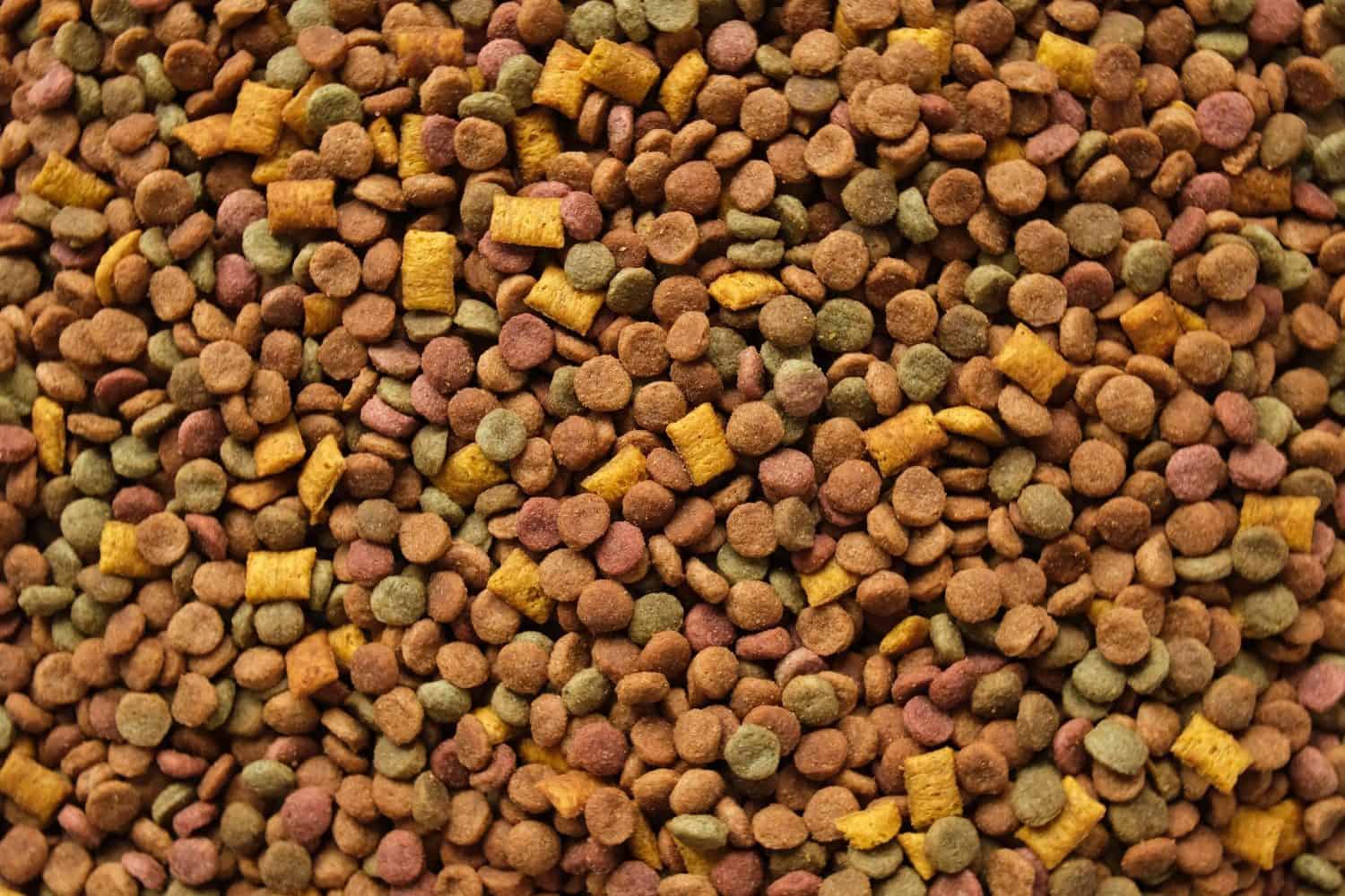 Pet Food Texture. Lot of Dry Granules of Crunchy Dog or Cat Food. Rotating Background. Animal Feed Pile. Fodder. Meal for Cats, Dogs. Filling. Daylight. Advertising. Pet Shop, Delivery. Healthy Treat