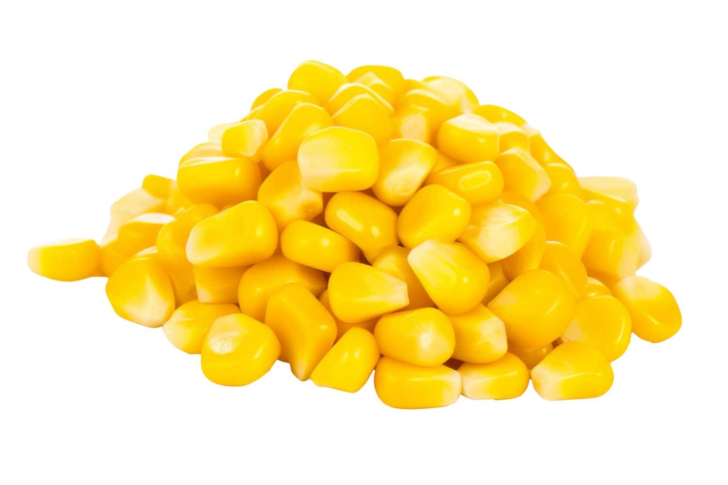 Canned corn isolate on white, top view