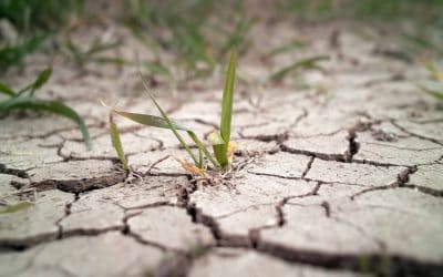 California’s Water Crisis Could Be Solved Within California