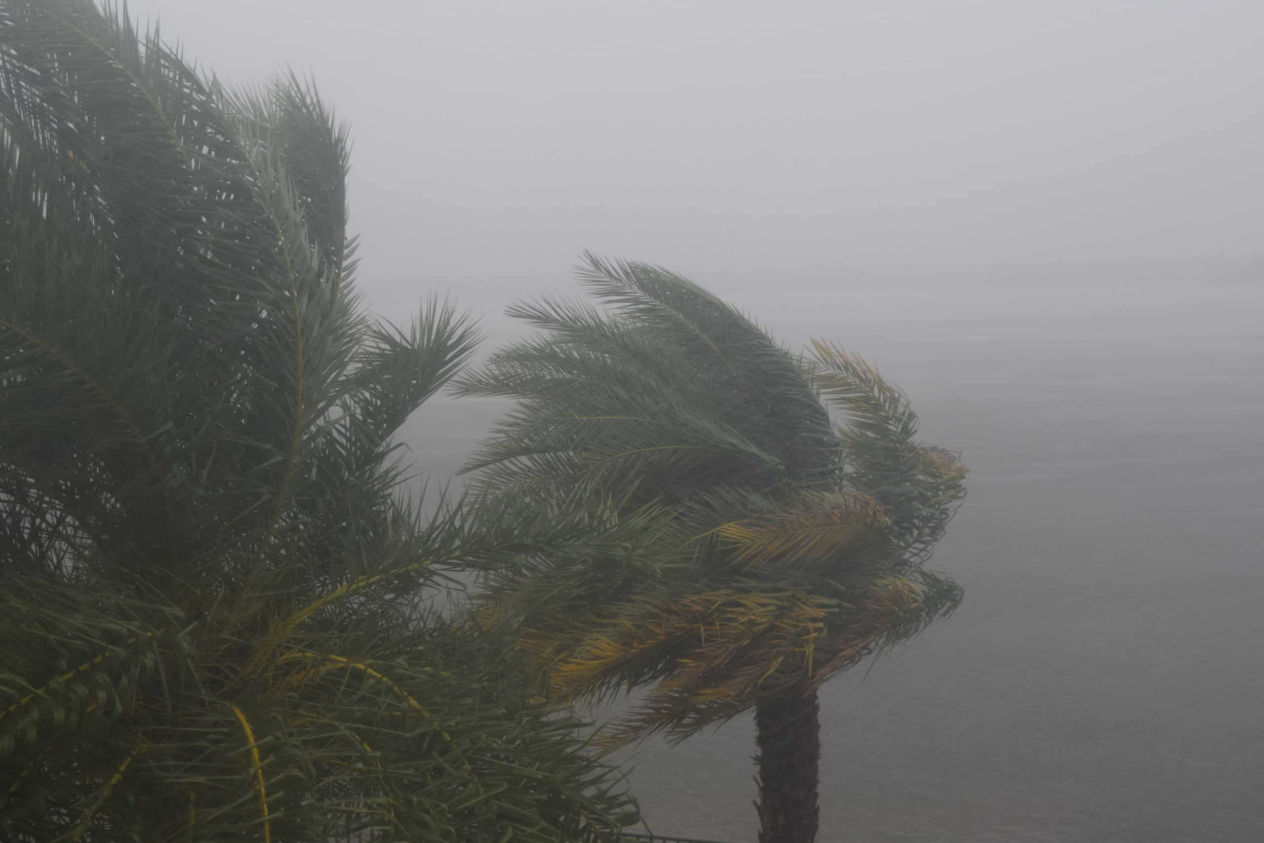 Hurricane force winds