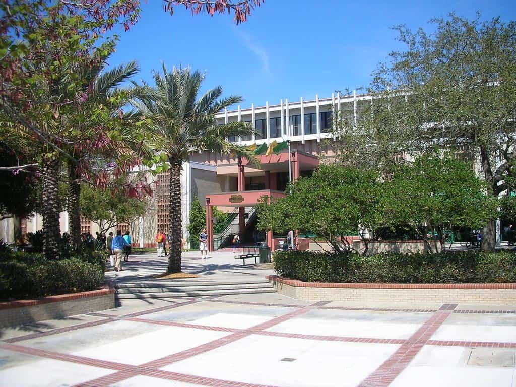 University of South Florida by kellogg