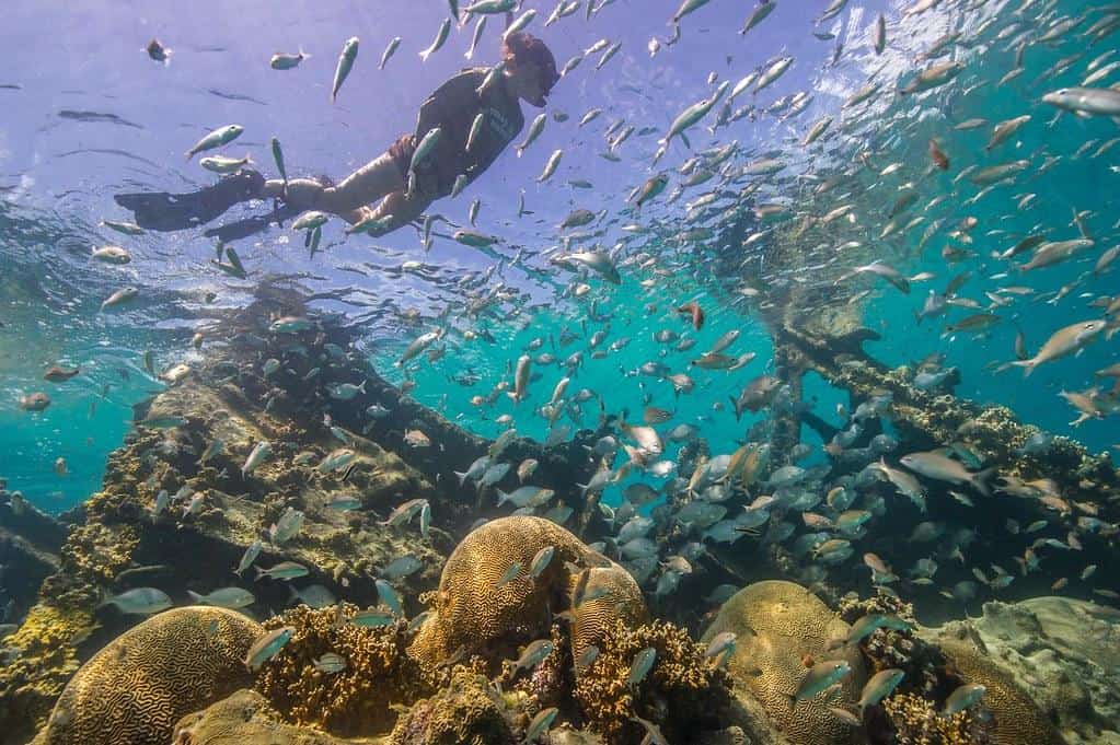 Dry Tortugas National Park by National Park Service