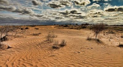 This Is the Most Sparsely Populated Country on Earth