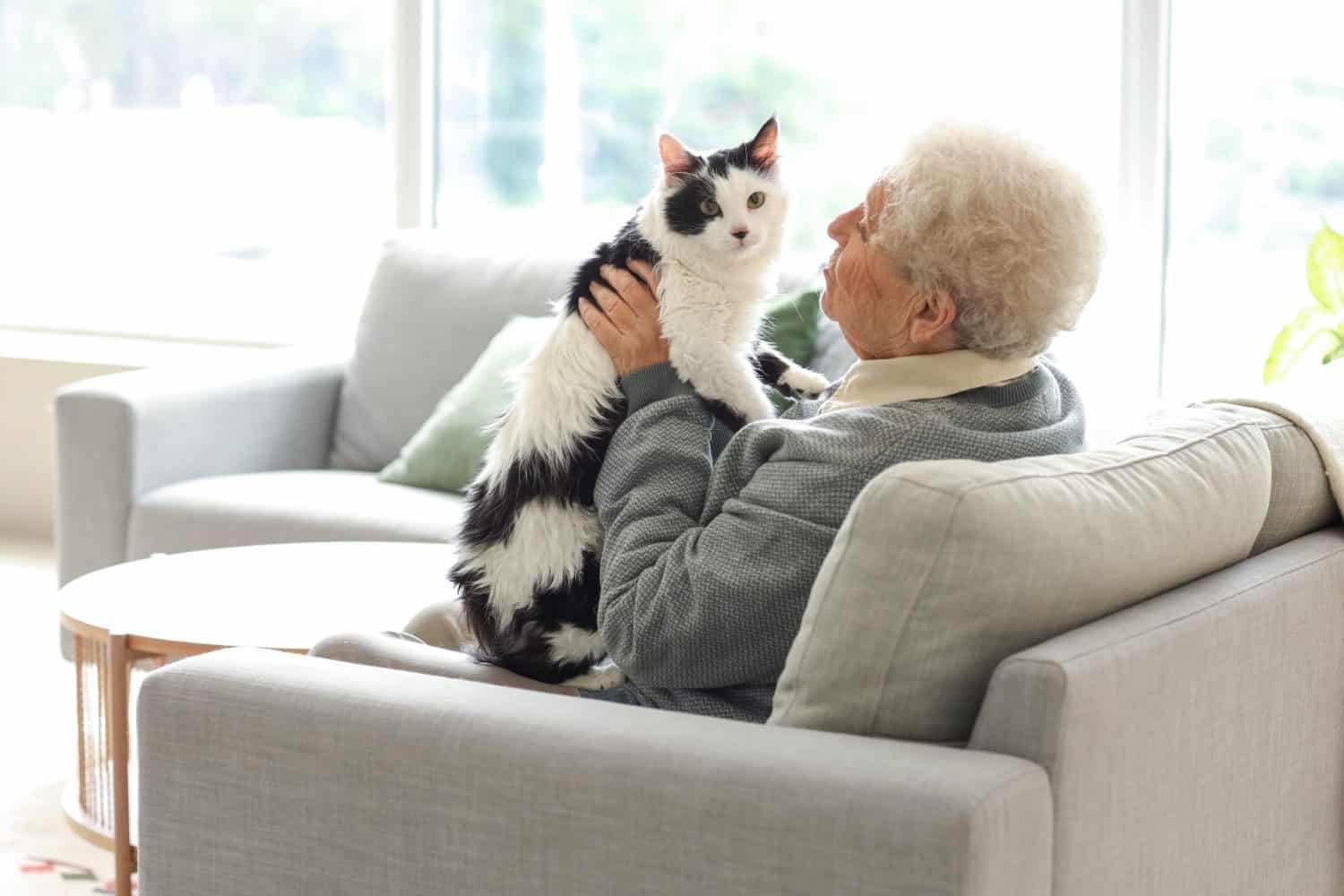 Senior woman with cute cat resting at home