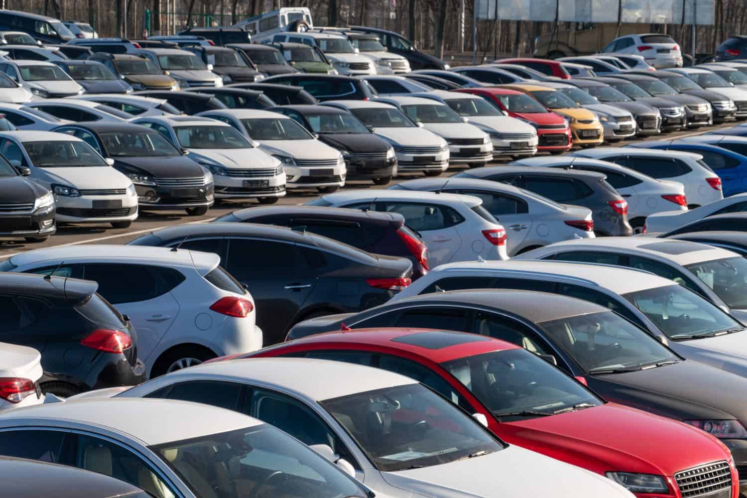 Cars in a row. Used car sales.