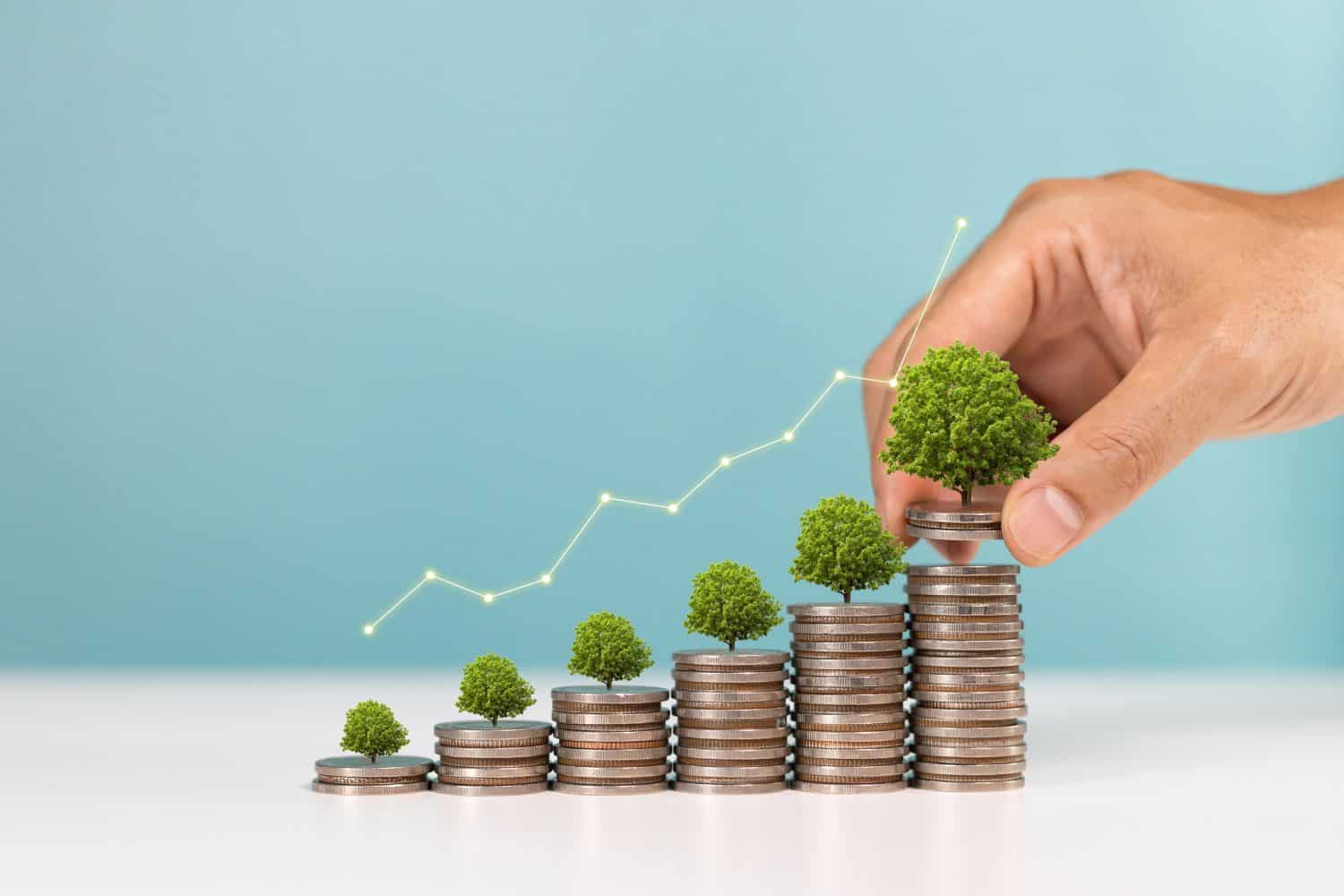 Investment and saving money concept. A man placing coins with growing tree with white up arrow of financial developments and business growth