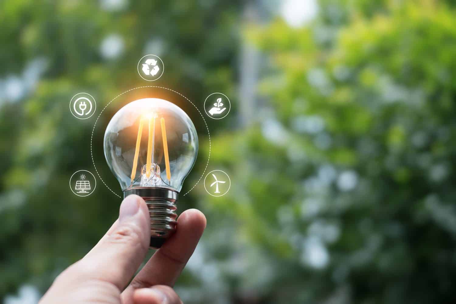 Hand holding light bulb against nature on green background with icons energy sources for renewable, sustainable development. Ecology concept.