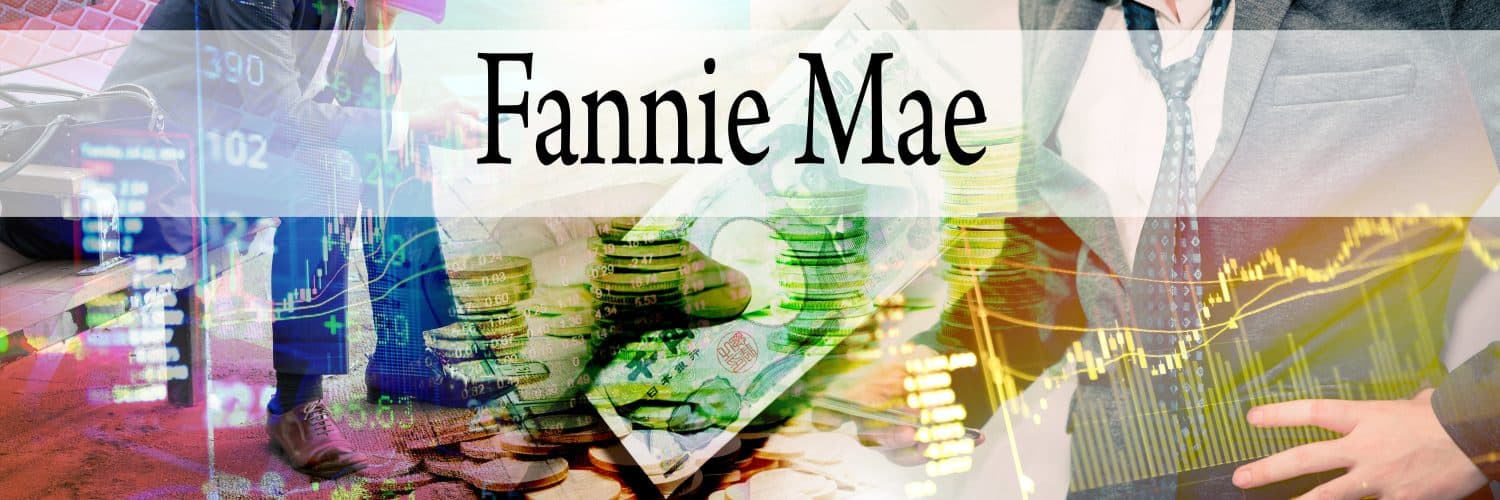 Fannie Mae - Hand writing word to represent the meaning of financial word as concept. A word Fannie Mae is a part of Investment&amp;Wealth management in stock photo.