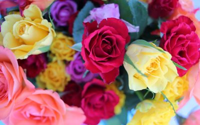 Gift Your Loved Ones Shares of These 3 Stocks