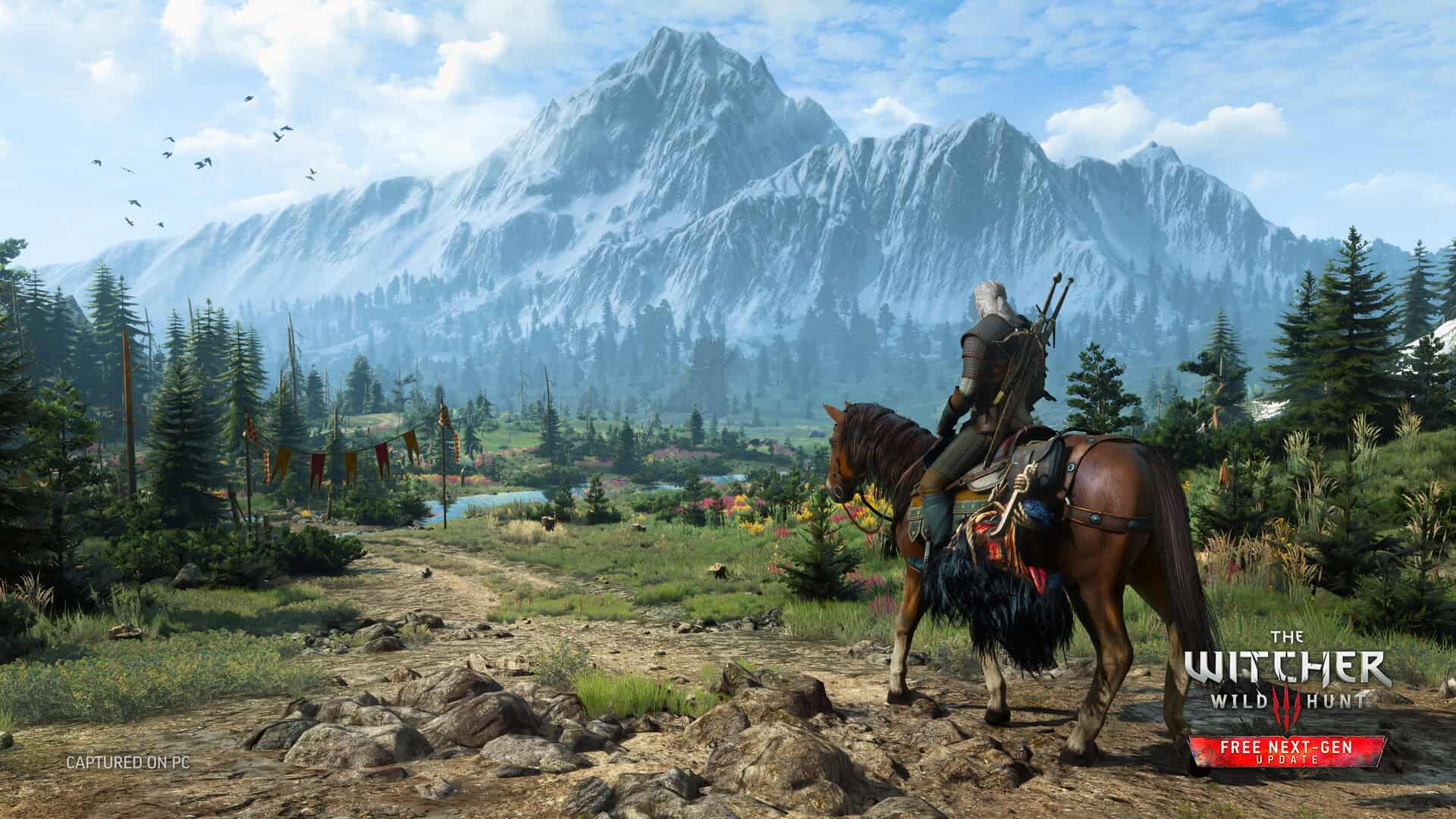 Witcher 3 Wild Hunt