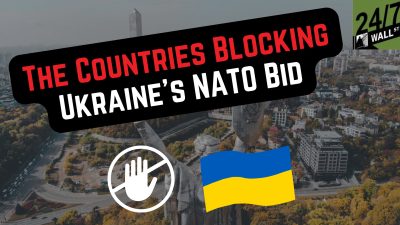 The Countries Blocking Ukraine’s NATO Bid