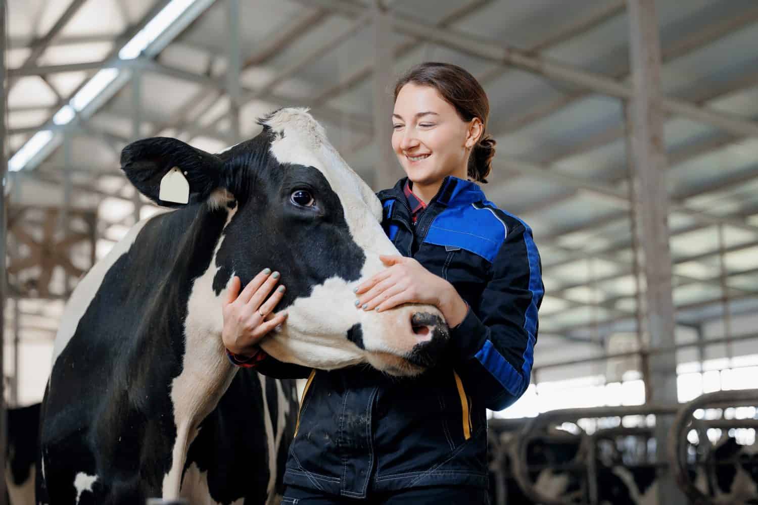 Happy young woman farm worker hugging cow as sign of concern for animal health care. Concept agriculture cattle livestock farming industry.