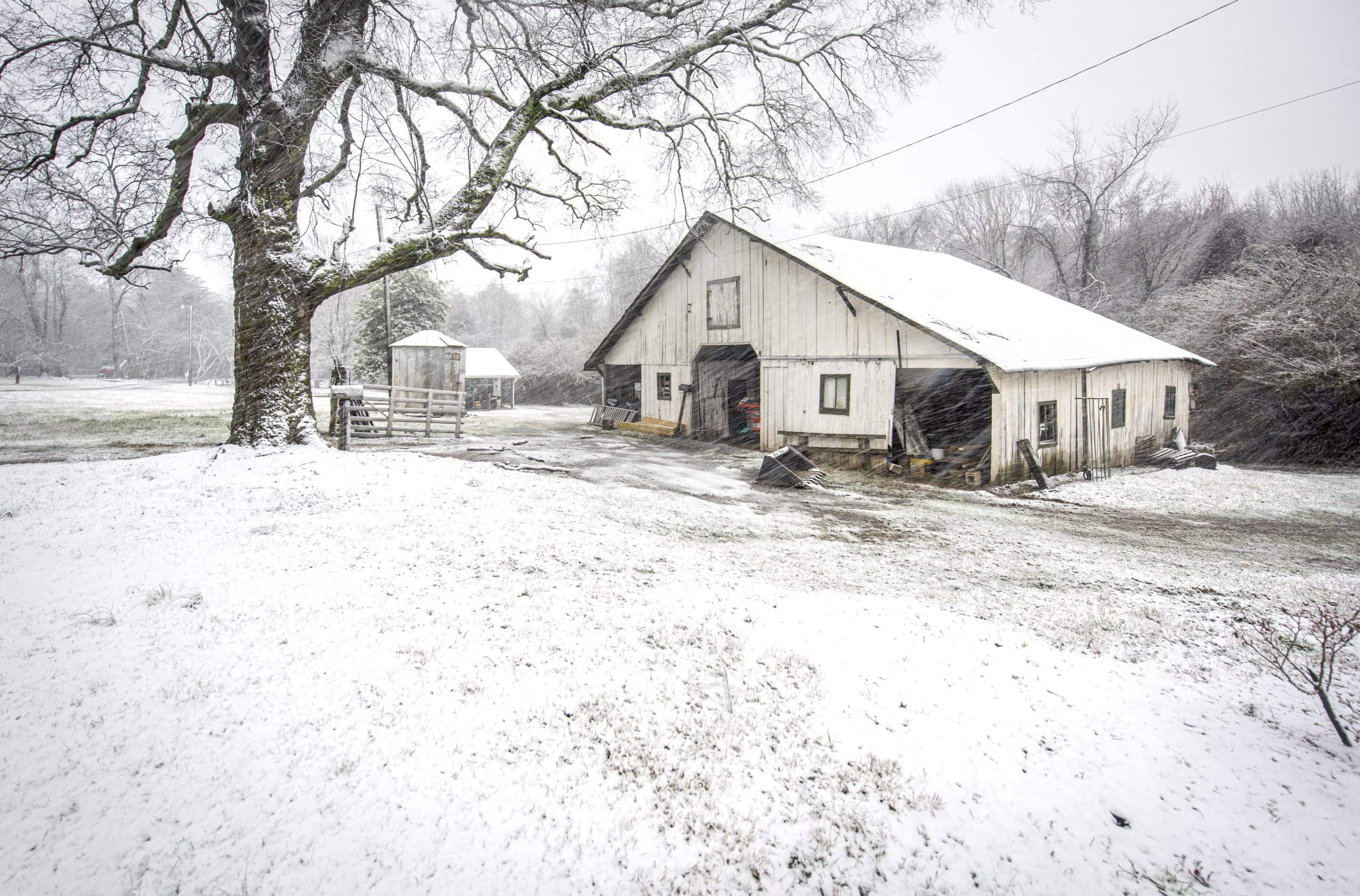 Winter Landscape