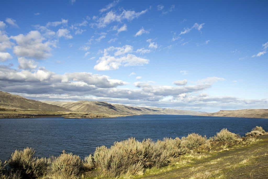 Columbia River on the eastern side of Oregon by Bonnie Moreland (free images)