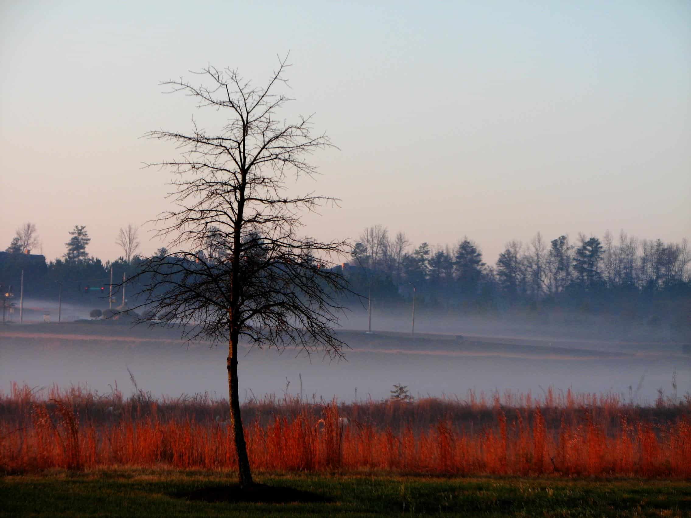 Conyers, Georgia, USA by Jon Gos